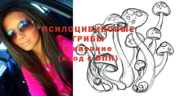 тгк Саяногорск