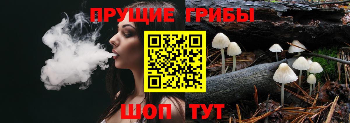 Галлюциногенные грибы Psilocybine cubensis  Галлюциногенные грибы Psilocybe  Вход с VPN  Бердск 